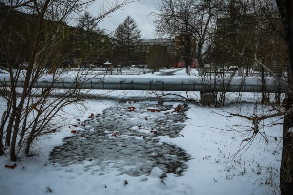 Сегодня в Челябинск вернулась зима Сегодня в Челябинск вернулась зима