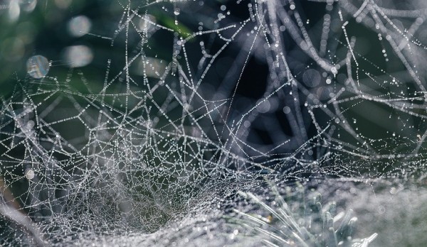 Тепло и сильный ветер. Синоптики рассказали, какой будет погода в Челябинской области