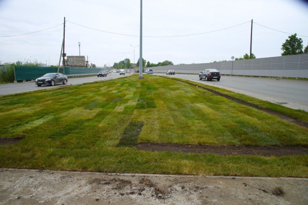 К сентябрю в Челябинске благоустроят развязки в южной части города К сентябрю в Челябинске благоустроят развязки в южной части города