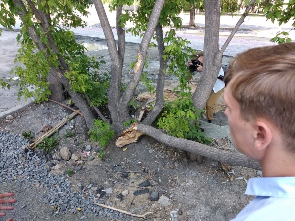 В Челябинске на месте бывшего тубдиспансера возникнет прогулочная зона В Челябинске на месте бывшего тубдиспансера возникнет прогулочная зона