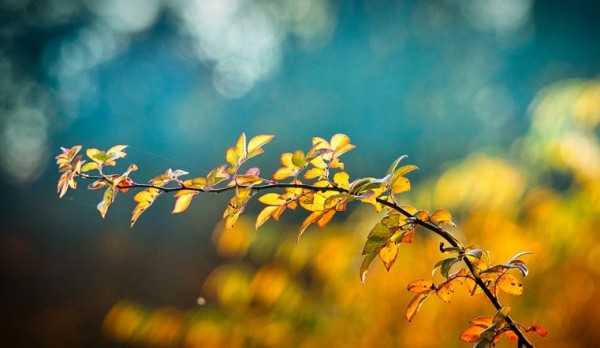 Холодно и тоскливо. Синоптики рассказали, какой будет погода в Челябинской области Холодно и тоскливо. Синоптики рассказали, какой будет погода в Челябинской области