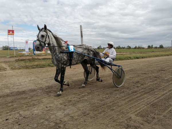 На ипподроме в Троицке состоялись долгожданные скачки На ипподроме в Троицке состоялись долгожданные скачки