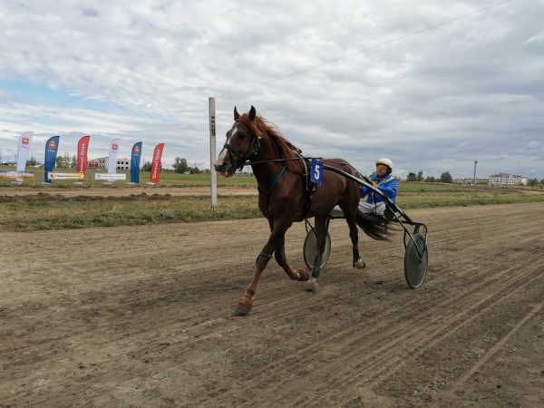 На ипподроме в Троицке состоялись долгожданные скачки На ипподроме в Троицке состоялись долгожданные скачки