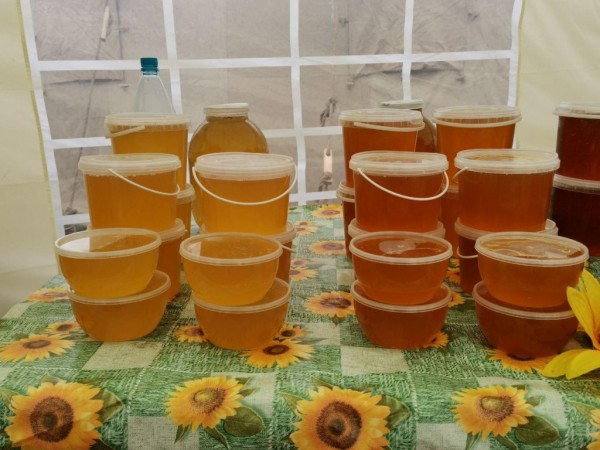 На ипподроме в Троицке состоялись долгожданные скачки На ипподроме в Троицке состоялись долгожданные скачки