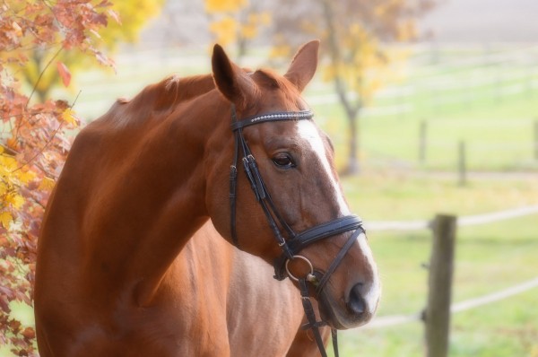 С просьбой о помощи. На Урале собирают деньги для лечения 8-летней девочки