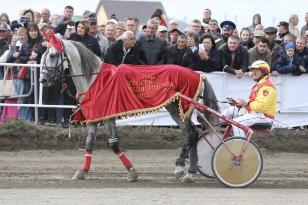 На ипподроме в Троицке состоялись долгожданные скачки На ипподроме в Троицке состоялись долгожданные скачки