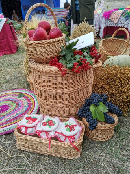 На ипподроме в Троицке состоялись долгожданные скачки На ипподроме в Троицке состоялись долгожданные скачки