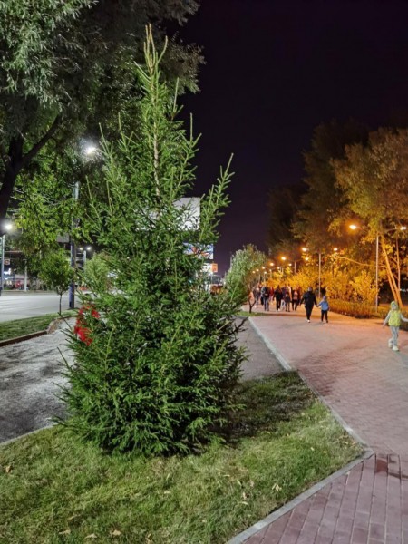 В Челябинске высадили 42 дерева на месте старого тубдиспансера