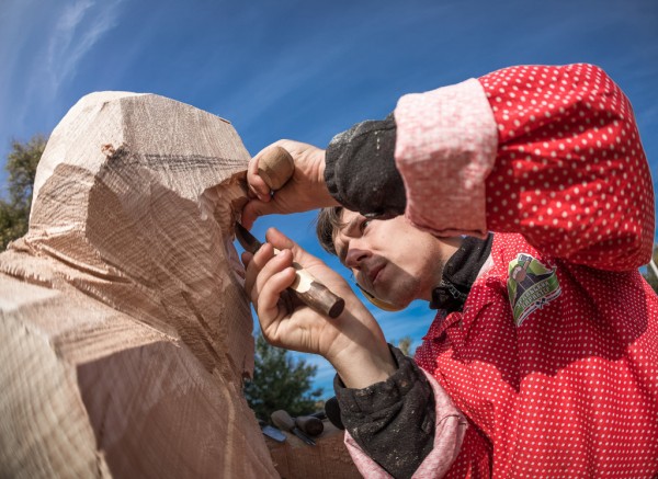Челябинский парк станет музеем необычных деревянных скульптур