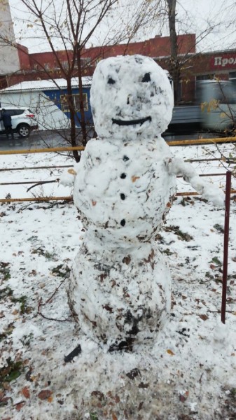 ТОП-10 челябинских снеговиков осени 2020 года