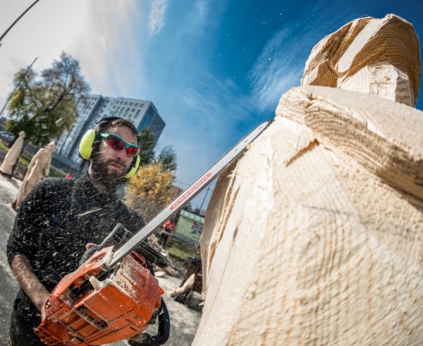 Челябинский парк станет музеем необычных деревянных скульптур