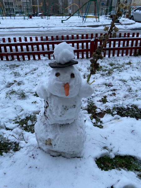 ТОП-10 челябинских снеговиков осени 2020 года