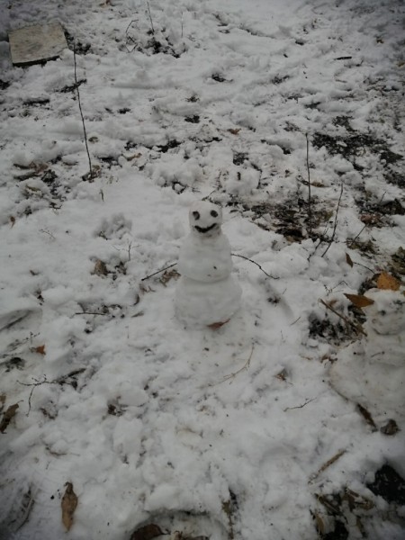 ТОП-10 челябинских снеговиков осени 2020 года