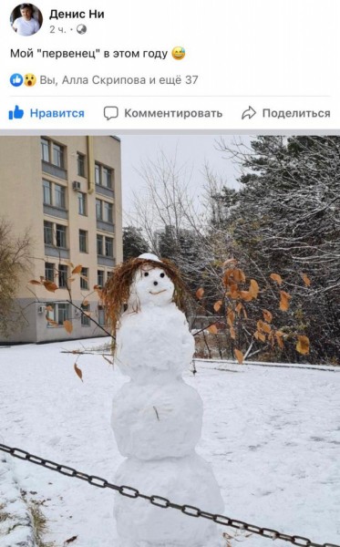 ТОП-10 челябинских снеговиков осени 2020 года