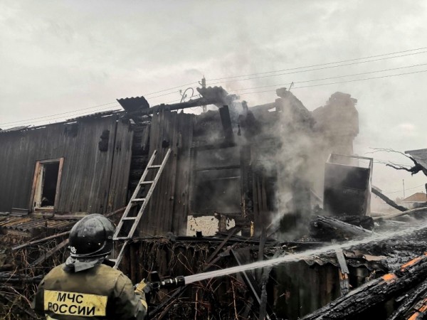 В Челябинской области пожарные спасли от огня 9 щенков В Челябинской области пожарные спасли от огня 9 щенков