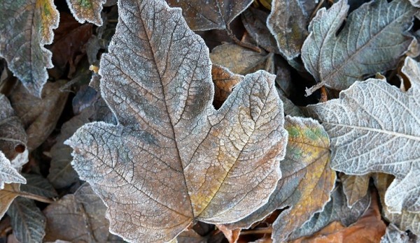 Надвигаются холод и дожди. Синоптики рассказали, какой будет погода на Урале