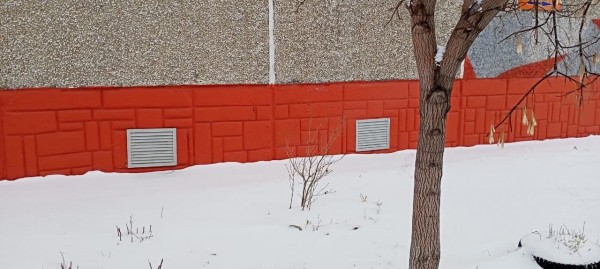 Замурованные в подвале челябинского дома коты выбрались на волю