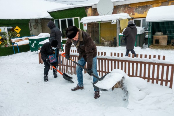 Представители «Гранада Пресс» и клуба «Челбаскет» покормили хищников Представители «Гранада Пресс» и клуба «Челбаскет» покормили хищников