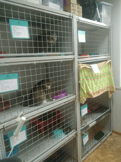 Иван Кинев: «Опыт, полученный в ЖКХ, неоценим и очень помогает на новом посту»