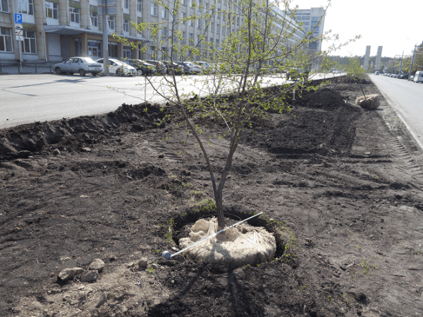 Иван Кинев: «Опыт, полученный в ЖКХ, неоценим и очень помогает на новом посту»