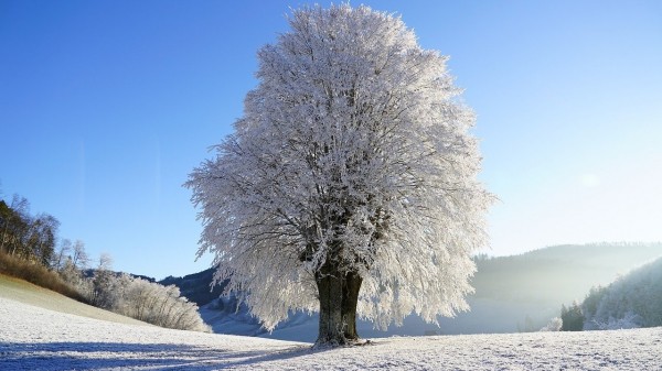 Погода в Челябинске в феврале: такого не ожидали даже синоптики