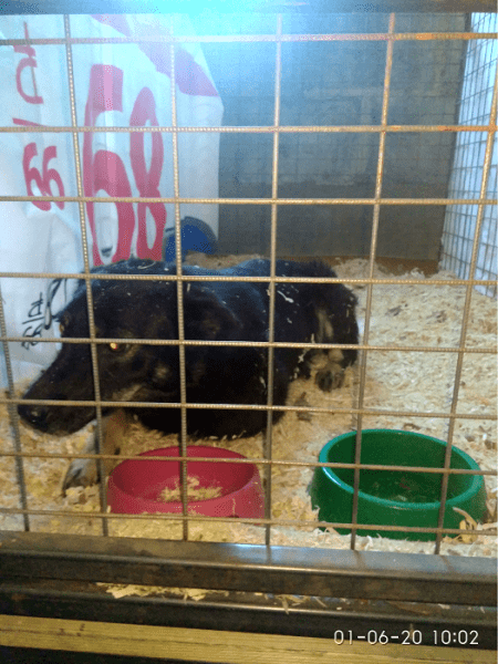 Иван Кинев: «Опыт, полученный в ЖКХ, неоценим и очень помогает на новом посту»