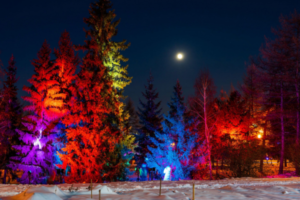 Журналисты «Вечернего Челябинска» вспоминают самый яркий Новый год в своей жизни Журналисты «Вечернего Челябинска» вспоминают самый яркий Новый год в своей жизни