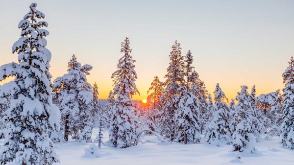 Власьевские морозы: где в России похолодает до -45° C