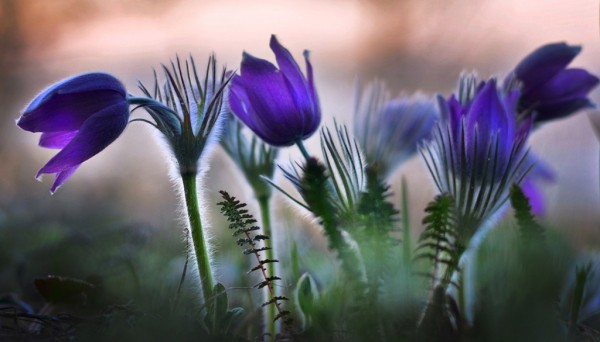 «Урал Mon Amour»: в «Манекене» открывается выставка Олега Лабастова