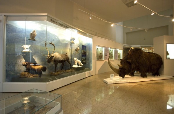 Челябинцы могут встретить весну по-японски Челябинцы могут встретить весну по-японски