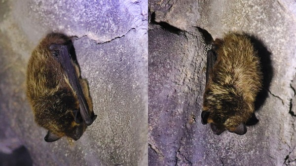 Пещерная страна: сказочный грот оттаял на Южном Урале