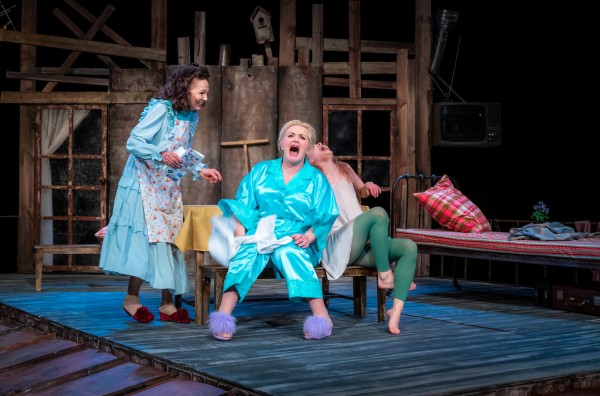 «Разве это жизнь??» В Челябинском театре драмы — премьера спектакля «Под одной крышей»