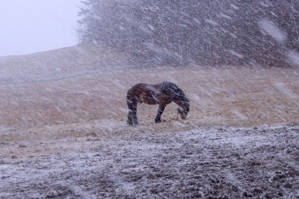 Погода в Челябинске в апреле: власть морозов и другие рекорды весны