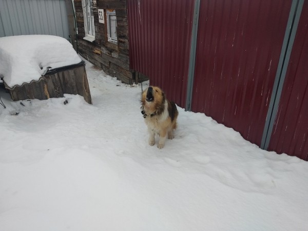 Мост с разворотом в светлое будущее Мост с разворотом в светлое будущее