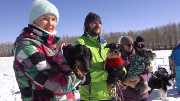 Жажда скорости: на что способны самые быстрые собаки выяснили в Челябинской области