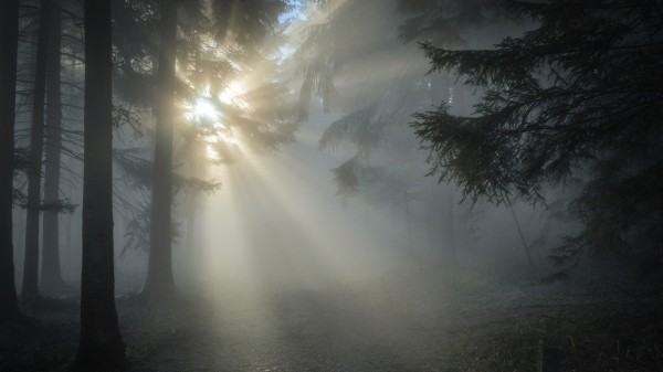 До -10 градусов: чем удивит погода в Челябинской области До -10 градусов: чем удивит погода в Челябинской области