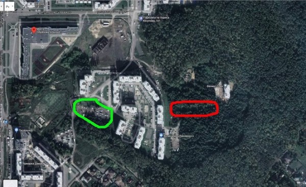 Ночная вырубка деревьев в Челябинске велась незаконно Ночная вырубка деревьев в Челябинске велась незаконно