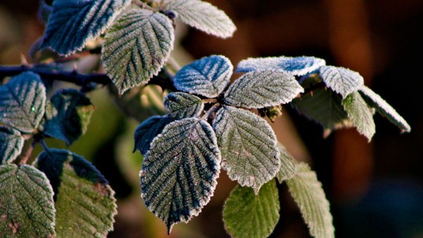 Погода в Челябинске: синоптики обещают дождь и сильный ветер Погода в Челябинске: синоптики обещают дождь и сильный ветер