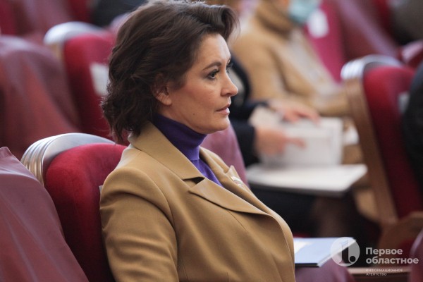 Челябинские депутаты Госдумы и сенаторы отчитались о своих доходах