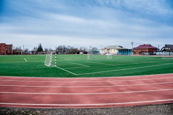 Игорь Ишимов: «Наши национальные символы — гуси и лошади!» Игорь Ишимов: «Наши национальные символы — гуси и лошади!»