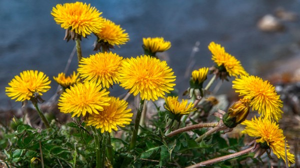 На Челябинскую область надвигается аномальная жара