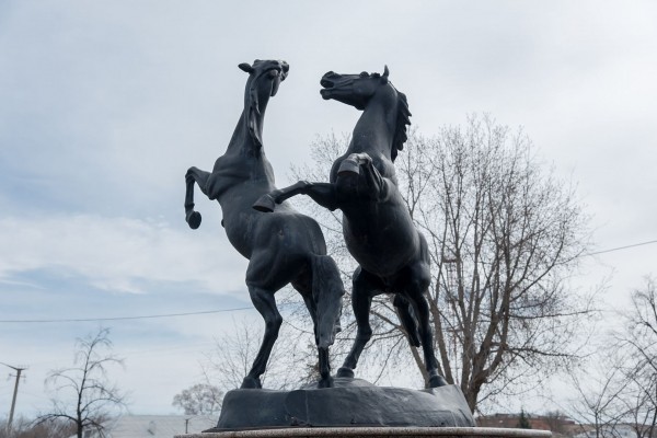 Игорь Ишимов: «Наши национальные символы — гуси и лошади!» Игорь Ишимов: «Наши национальные символы — гуси и лошади!»