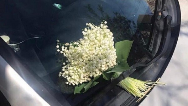 Флешмоб с романтическим письмом запустили на Южном Урале Флешмоб с романтическим письмом запустили на Южном Урале