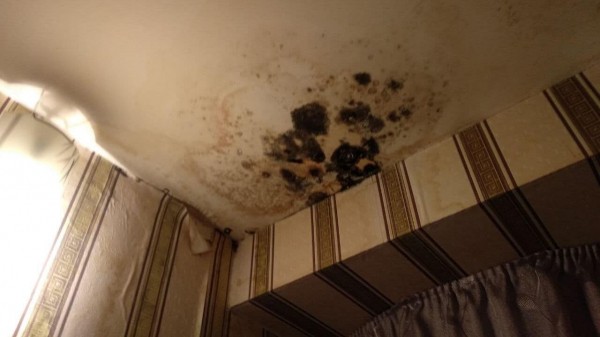 Дождевая вода топит дома в Челябинской области Дождевая вода топит дома в Челябинской области