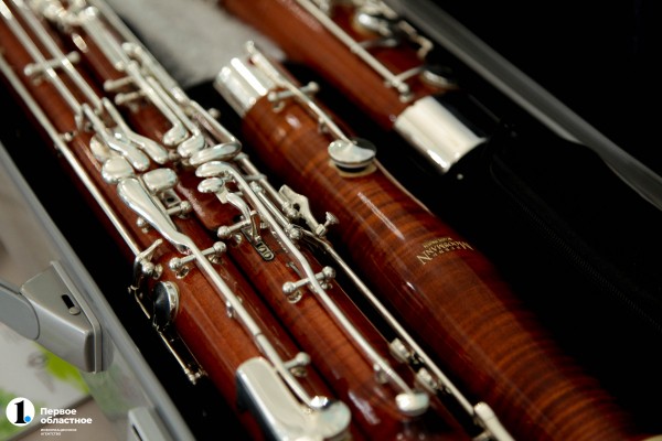 В Челябинск доставили 45 новых музыкальных инструментов для Детской филармонии В Челябинск доставили 45 новых музыкальных инструментов для Детской филармонии