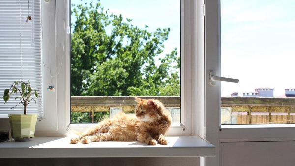 Погода в Челябинске и области: предупреждение об аномальной жаре и граде