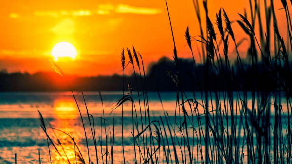 Погода в Челябинске на неделю: синоптики обещают 36-градусное пекло Погода в Челябинске на неделю: синоптики обещают 36-градусное пекло