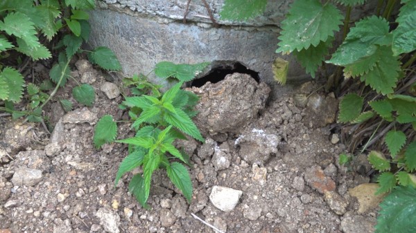 В Челябинске ищут виновных в сбросах стоков в водохранилище 