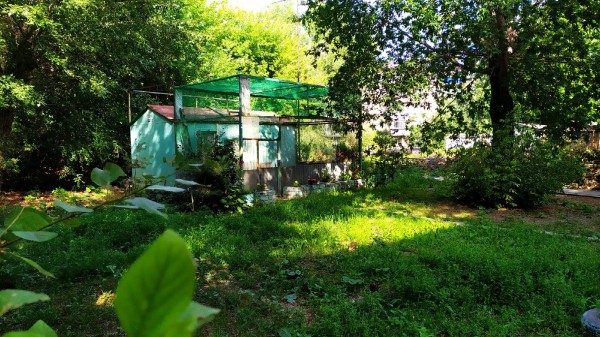 В Челябинский театр кукол прислали около ста фотографий голубятен В Челябинский театр кукол прислали около ста фотографий голубятен