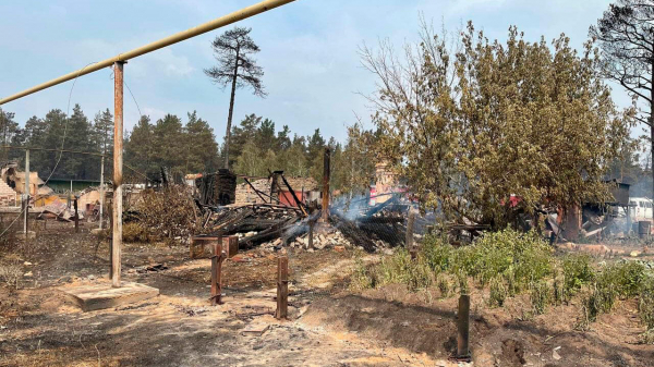 700 градусов: замглавы МЧС рассказал об огненном шторме в Челябинской области 700 градусов: замглавы МЧС рассказал об огненном шторме в Челябинской области